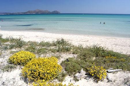 Apartment Alcudia Ocean View 外观 照片